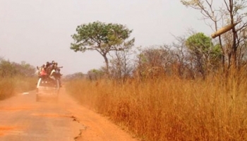 Cinq personnes tuées par des coupeurs de route en quatre jours à Bangolo
