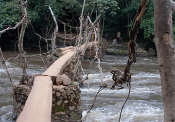 Danané : Le pont de lianes n'existe que de nom