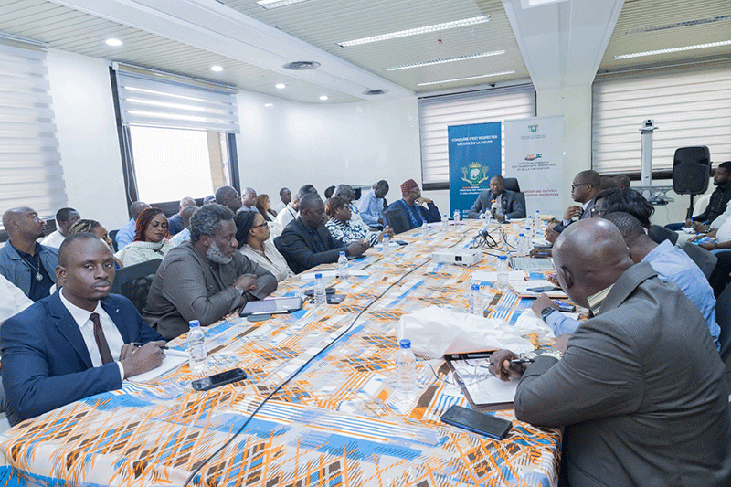 Centre d'Immatriculation accélérée/ Le Ministère des Transports et les concessionnaires harmonisent leurs actions avant l'ouverture du site de pose de plaque